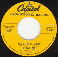 Aperçu: It's A Cryin' Shame - You're For Me (7inch, 45rpm) Aperçu: It's A Cryin' Shame - You're For Me (7inch, 45rpm)