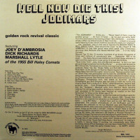 Aperçu: Well Now Dig This! (LP) Aperçu: Well Now Dig This! (LP)
