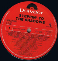 Aperçu: Steppin' To The Shadows (LP) Aperçu: Steppin' To The Shadows (LP)