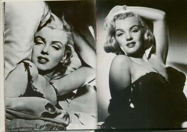 Marilyn Monroe Personal Diary