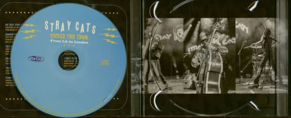 Rocked This Town (CD)