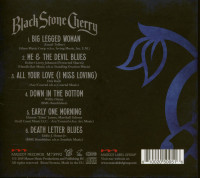 Aperçu: Black To Blues Vol.2 (CD) Aperçu: Black To Blues Vol.2 (CD)