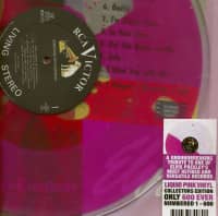 Aperçu: Somemething For Everybody (LP, Pink Liquid Filled Vinyl, Ltd.) Aperçu: Somemething For Everybody (LP, Pink Liquid Filled Vinyl, Ltd.)