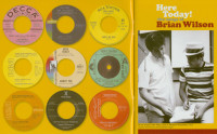 Aperçu: Here Today! The Songs Of Brian Wilson Aperçu: Here Today! The Songs Of Brian Wilson