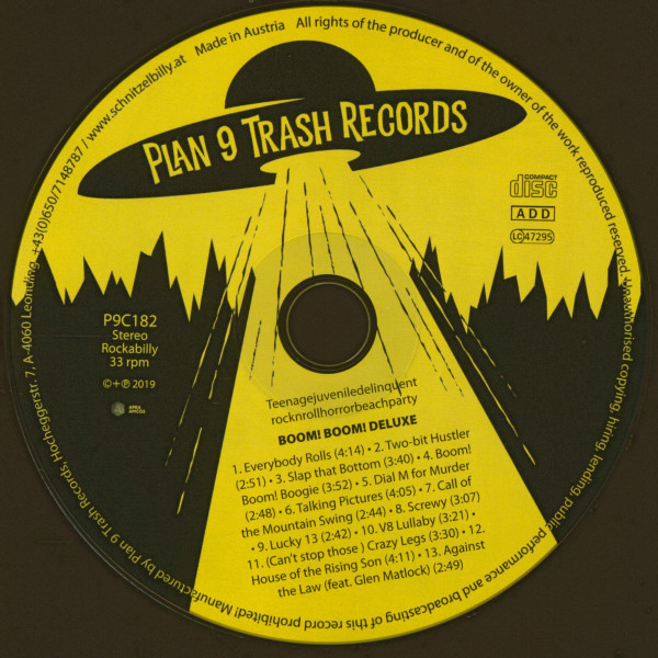 Teenagejuveniledelinquentrocknrollhorrorbeachparty (CD, Ltd.)