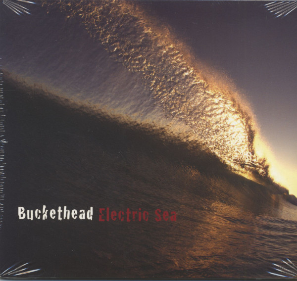 Electric Sea (CD) Electric Sea (CD)