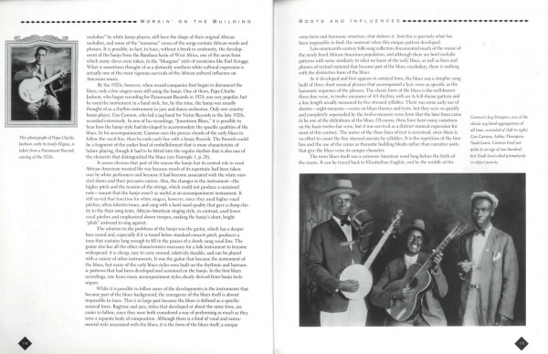 Nothing But The Blues - The Music And The Musicans