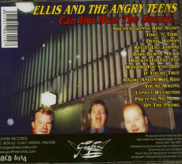 Can You Hear The Sound (CD)