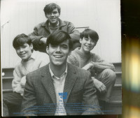 Aperçu: The Cowsills (CD) Aperçu: The Cowsills (CD)