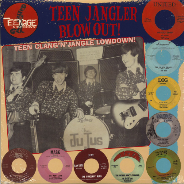 Teenage Shutdown Vol.9 - Teen Jangler Blowout! (LP) Teenage Shutdown Vol.9 - Teen Jangler Blowout! (LP)
