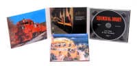 Aperçu: Sentimental Journey Vol.3 - Last Train To San Fernando (CD) Aperçu: Sentimental Journey Vol.3 - Last Train To San Fernando (CD)