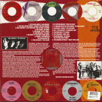 Aperçu: Teenage Shutdown Vol.4 - I'm A No-Count! (LP) Aperçu: Teenage Shutdown Vol.4 - I'm A No-Count! (LP)