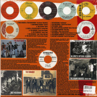 Aperçu: Teenage Shutdown Vol.10 - The World Ain't Round, It's Square! (LP) Aperçu: Teenage Shutdown Vol.10 - The World Ain't Round, It's Square! (LP)
