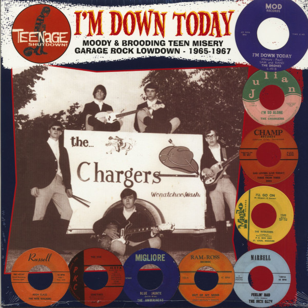 Teenage Shutdown Vol.6 - I'm Down Today (LP) Teenage Shutdown Vol.6 - I'm Down Today (LP)